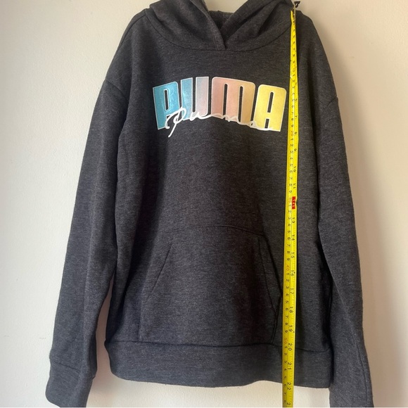 Puma Youth Girls Hoodie Sweatshirt L (12–14) Gray Rainbow Logo Pullover NWOT - Picture 2 of 11
